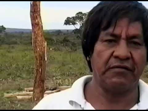 Construção da casa central (bai mana gejewy) de uma aldeia Bororo