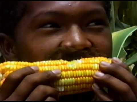 Kuiada paru (festa bororo do milho)